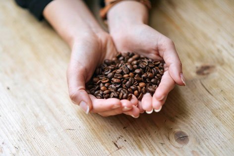 Für die Espressomaschinen die richtigen Kaffeebohnen