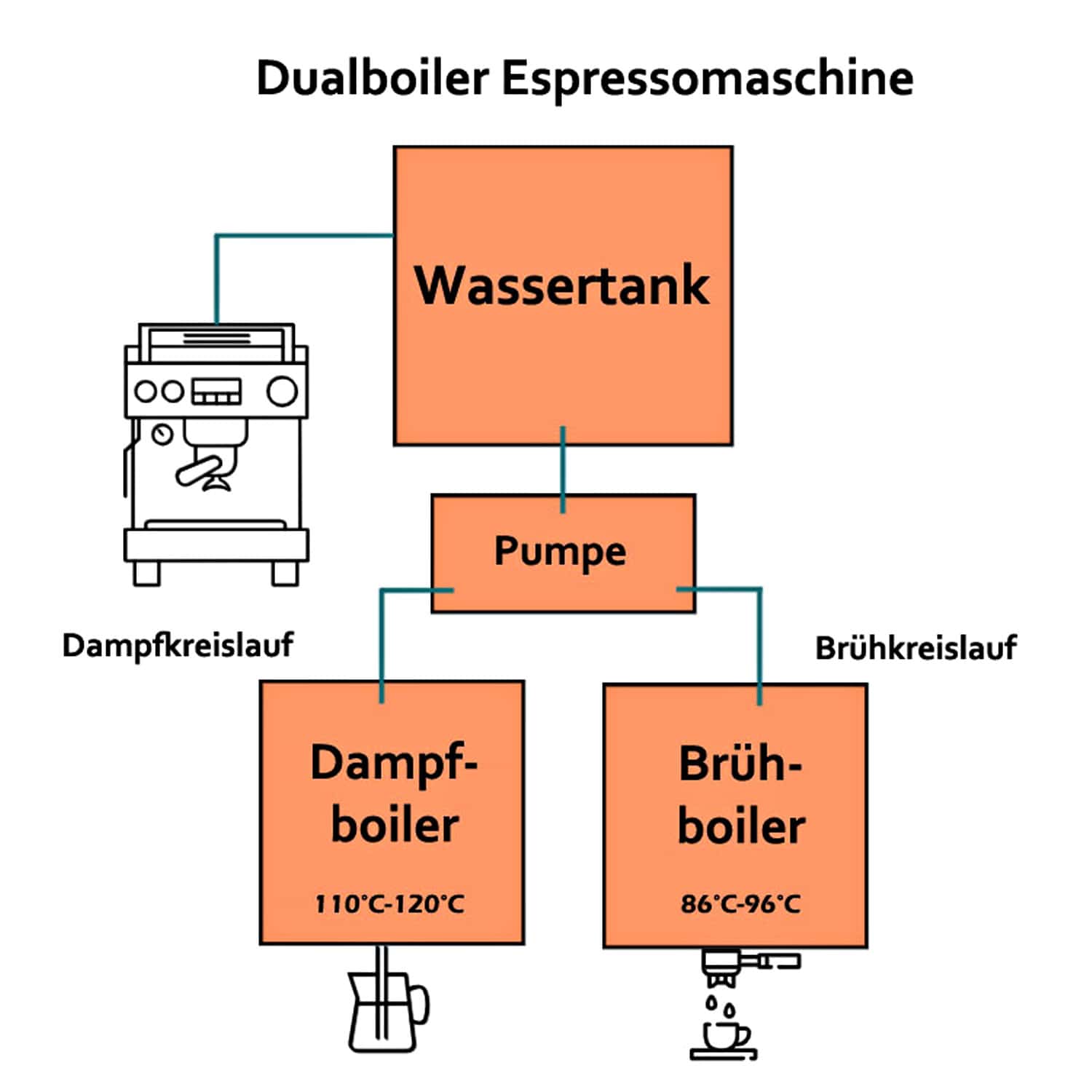 Dualboiler Brüh- und Dampf Wasserkreisläufe